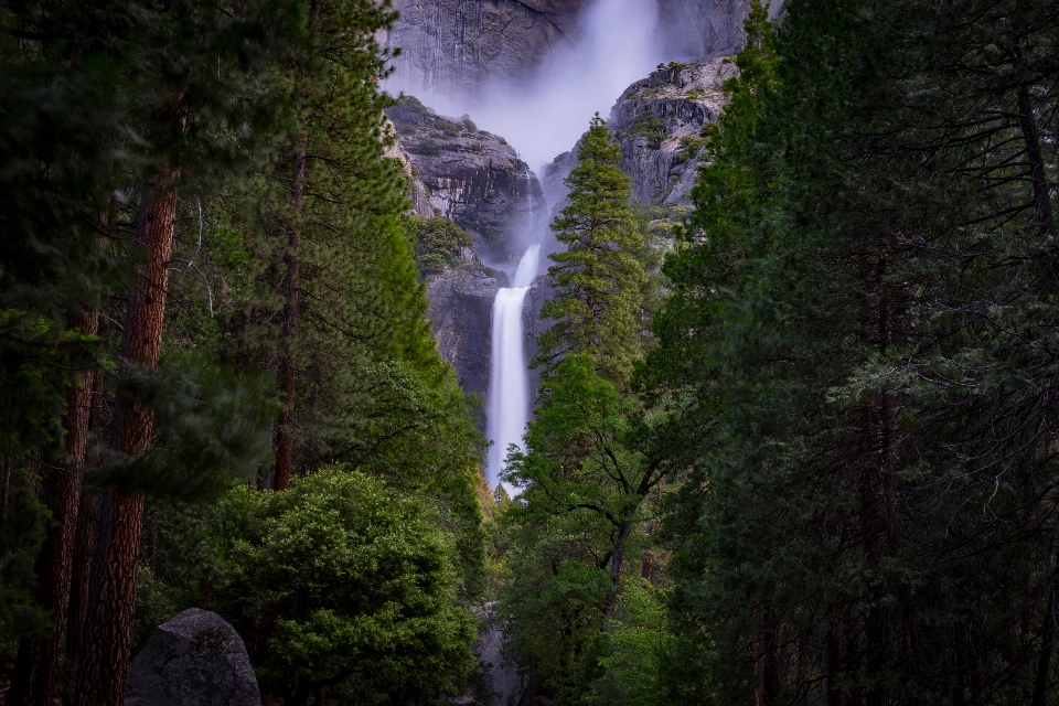 Wald wasserfall dschungel regenwald