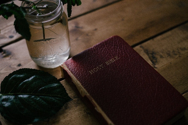 Hand book leaf flower Photo