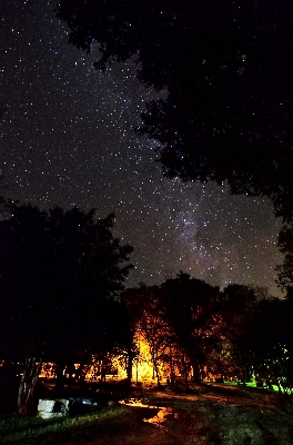 Light sky night star Photo