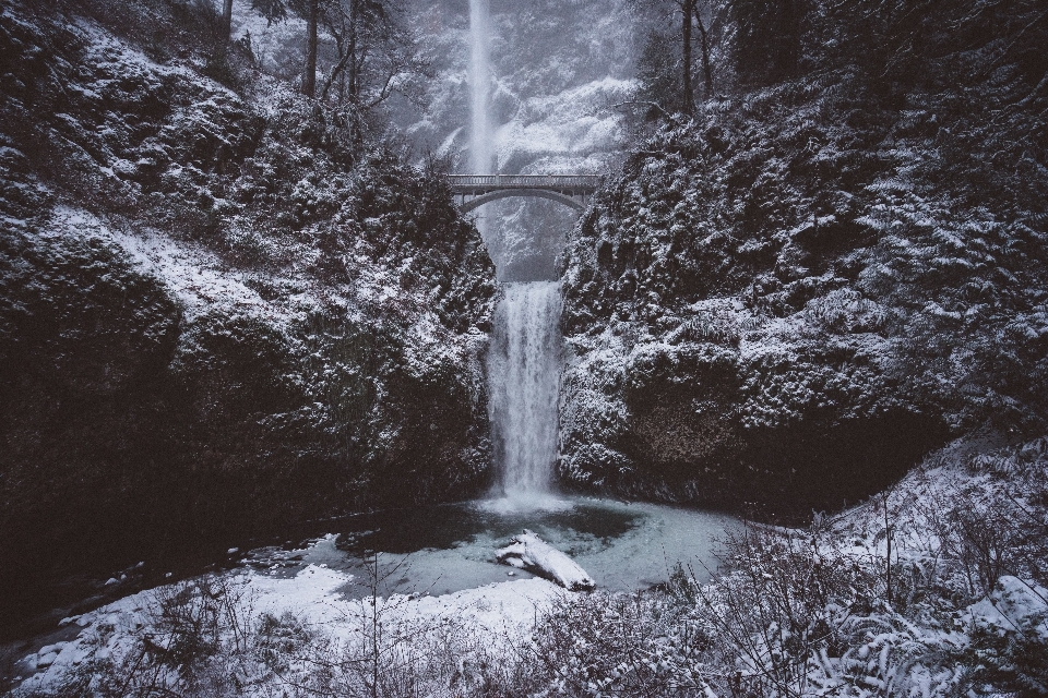 水 瀑布 雪 冬天