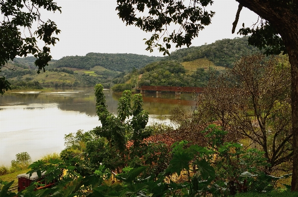 Landscape tree water nature Photo