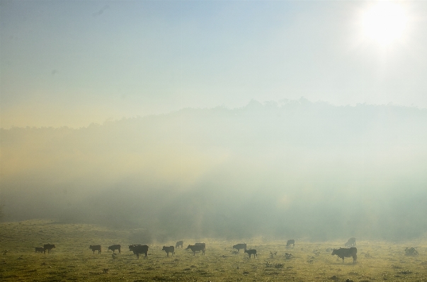 Landscape nature horizon mountain Photo