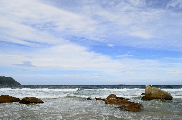 Beach sea coast water Photo