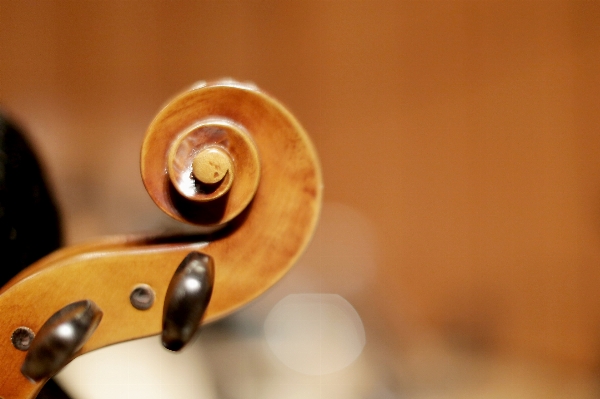 Foto Chitarra strumento musicale avvicinamento
 fotografia