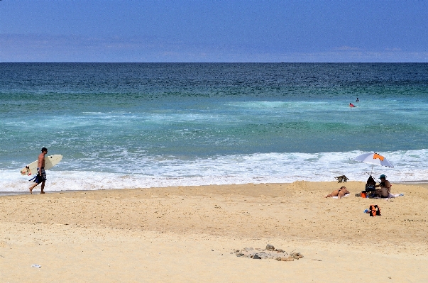 Beach sea coast sand Photo