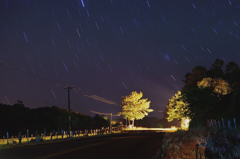 Baum licht himmel straße