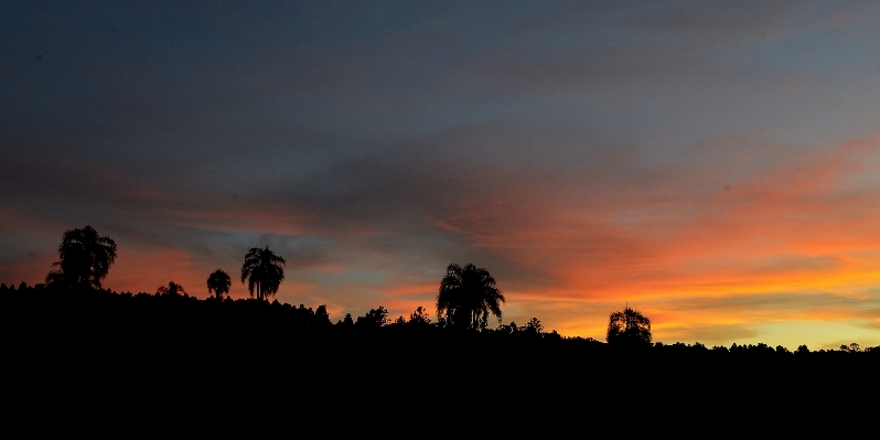 Horizon cloud sky sunrise Photo