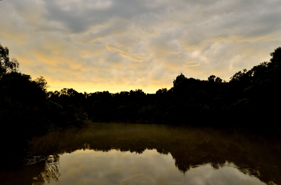 Lanskap pohon alam awan