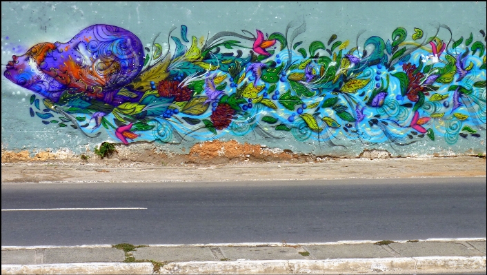 Flower graffiti street art Photo