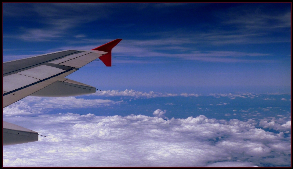 Horizon wing cloud sky