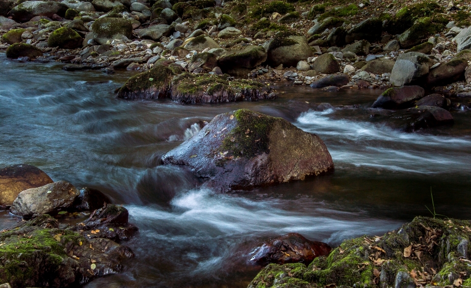 Landschaft wasser natur wald