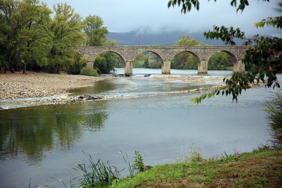 Paisaje árbol agua exterior