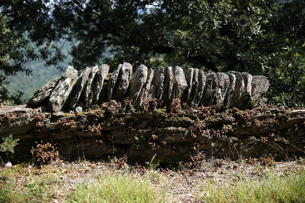 Rock frankreich europa dschungel Foto