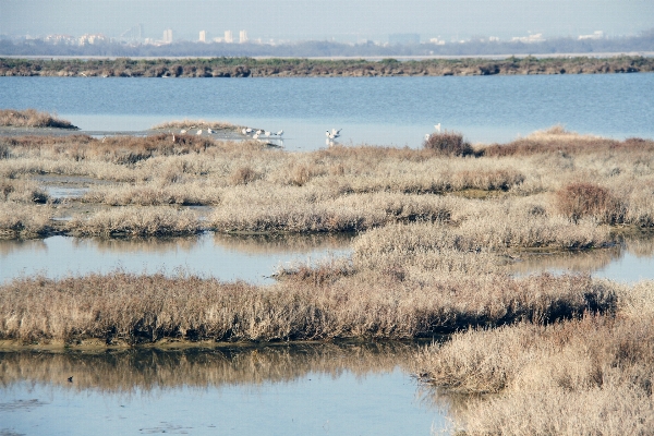 Sea coast water sand Photo