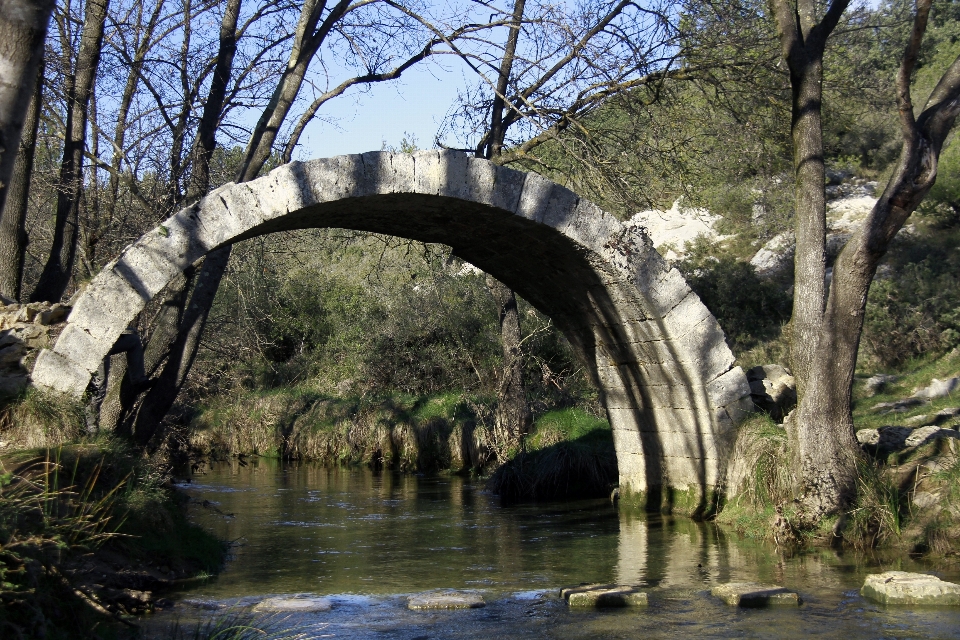 Arbre eau pont rivière