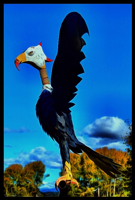 Bird wing metal eagle