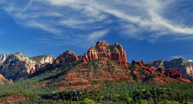 風景 木 自然 rock 写真