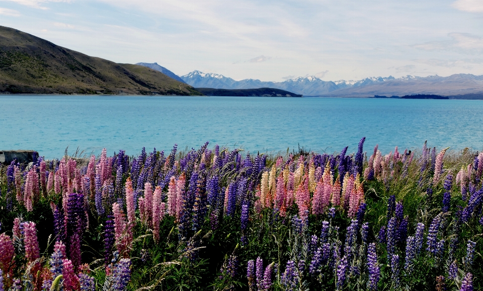 Landschaft meer wasser natur