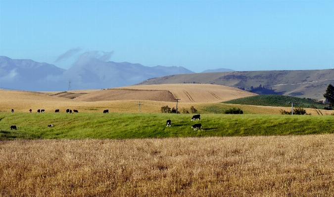 Landscape grass wilderness mountain Photo