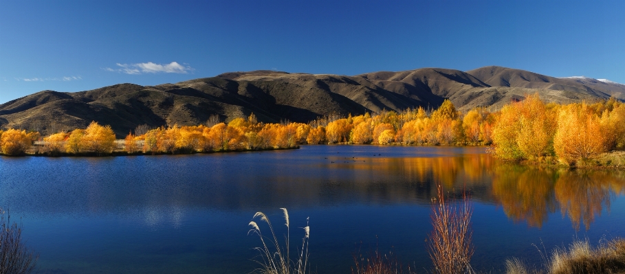 Foto Paisagem árvore natureza região selvagem
