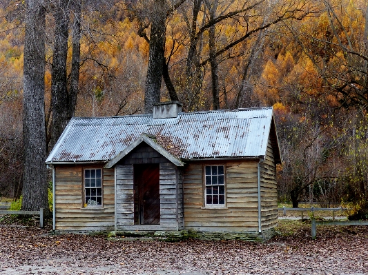 Tree wood farm house Photo