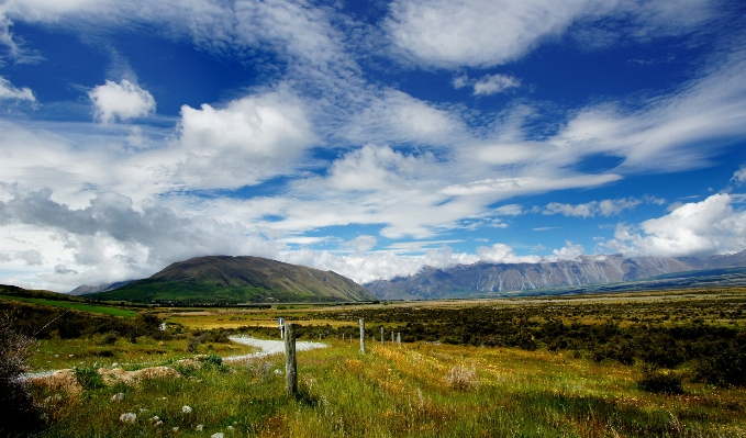 Foto Paisagem árvore natureza grama