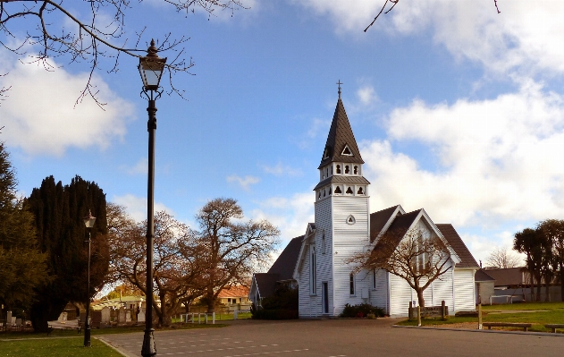 Tree architecture town building Photo