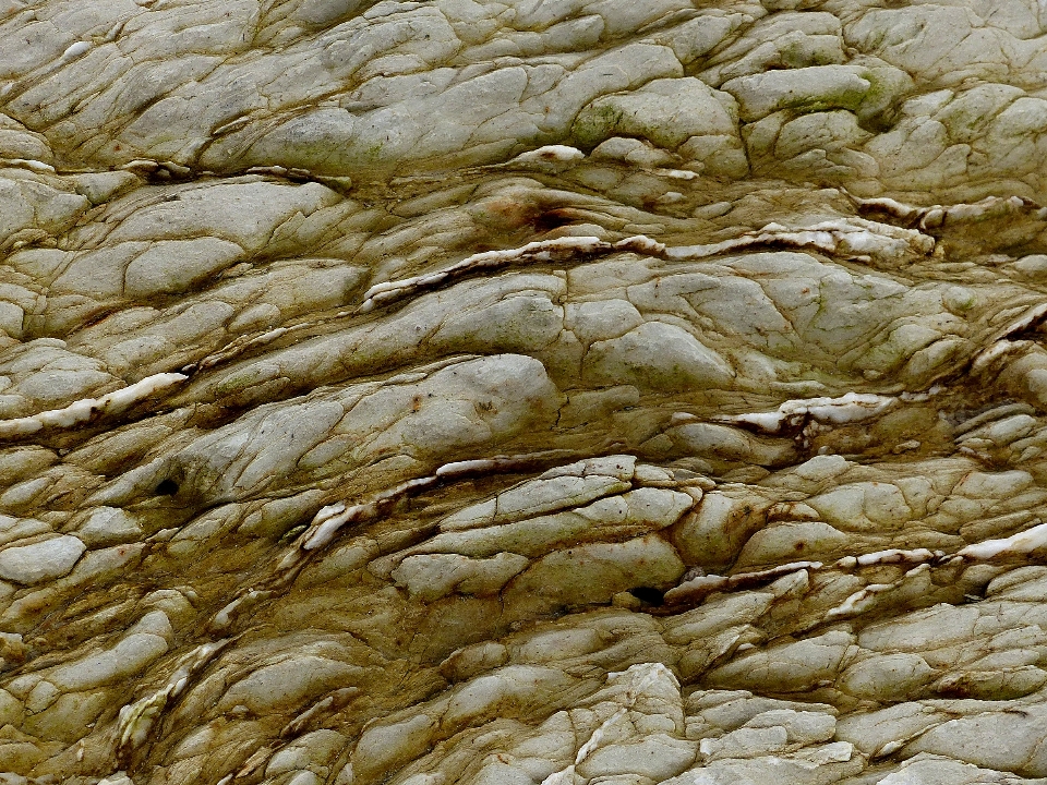 Rock 质地 树干 编队