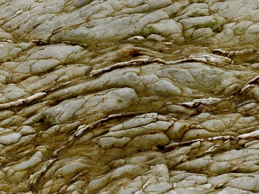 Rock texture trunk formation Photo