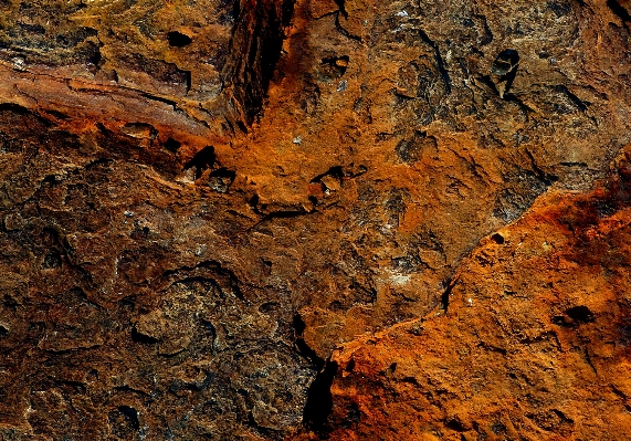 Tree rock abstract wood Photo