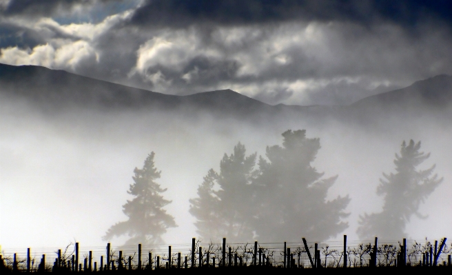 Foto Naturaleza nube cielo niebla