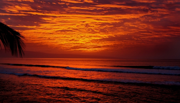 Beach sea coast ocean Photo