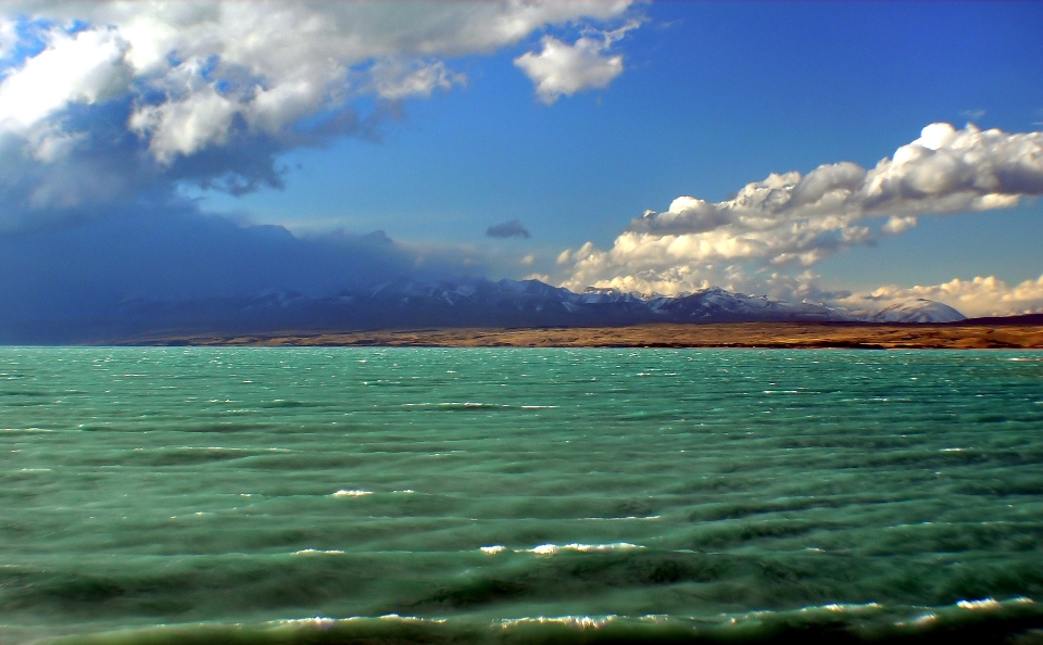 海滩 景观 海 海岸