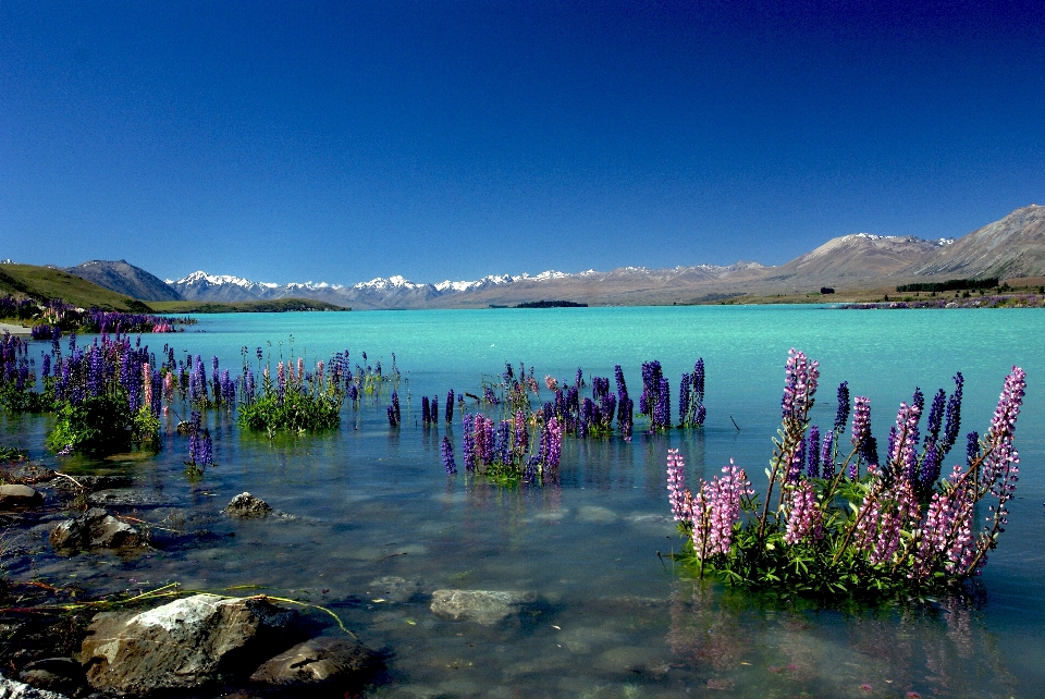 ビーチ 風景 海 海岸