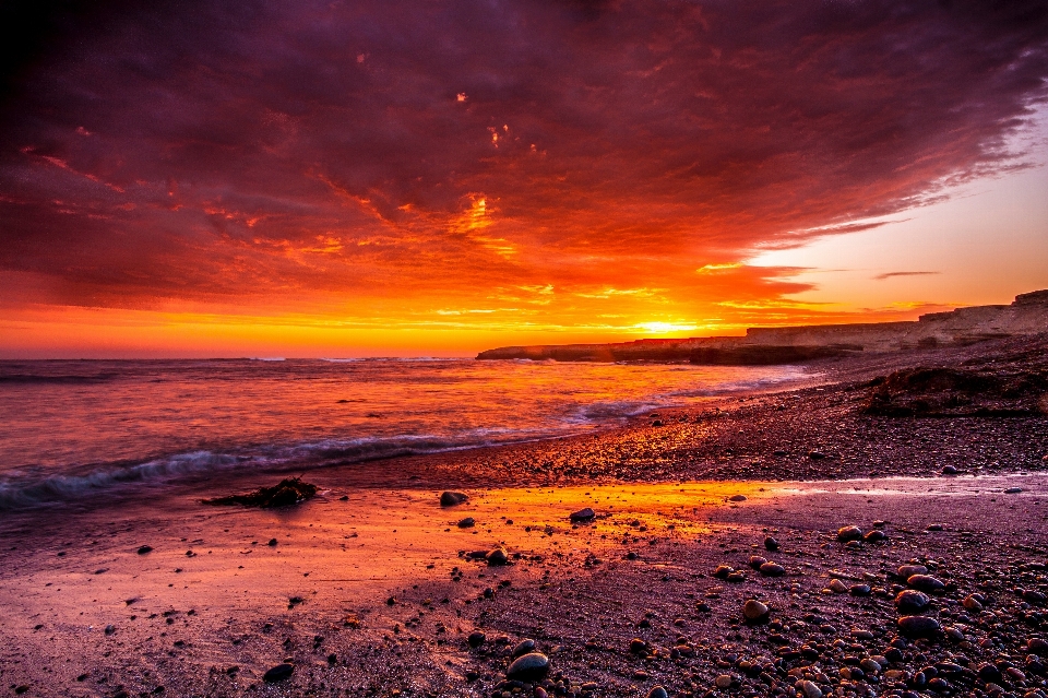 Beach sea coast ocean