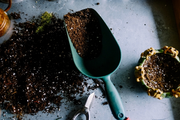 Foto Comida produzir sujeira solo