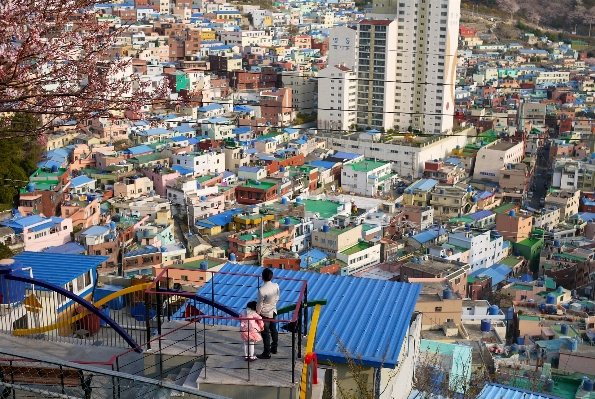 Town rooftop city urban Photo