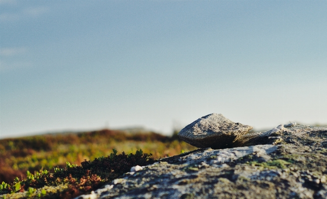 Landscape sea coast nature Photo