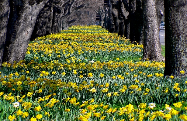 Architecture plant field meadow Photo