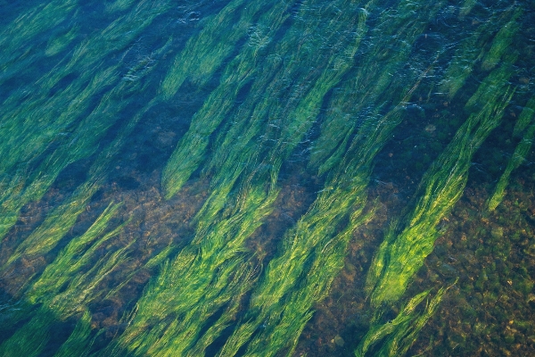 風景 海 海岸 水 写真