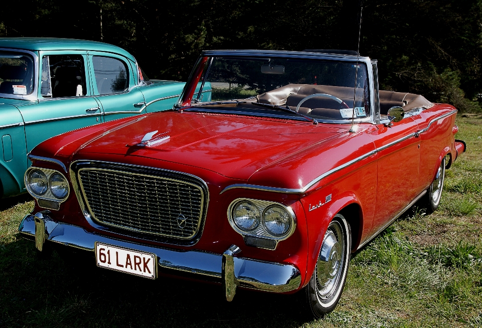 Carro veículo motorizado
 vermelho
