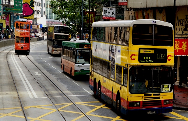 Traffic transport vehicle public Photo