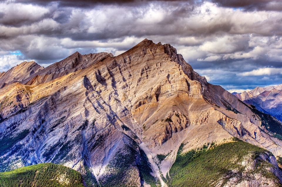 Paysage arbre nature rock