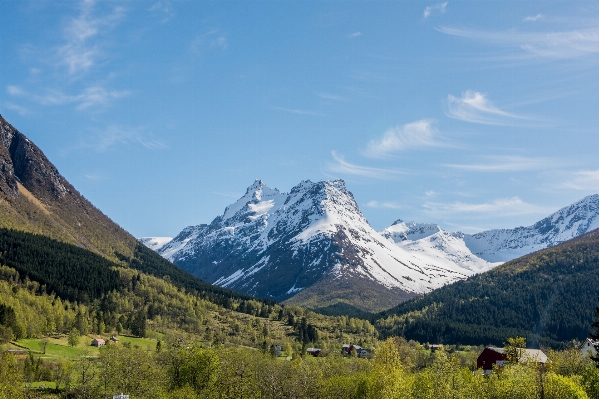 Landscape nature forest wilderness Photo