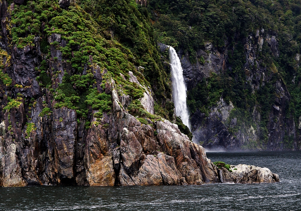 Baum wasser natur rock