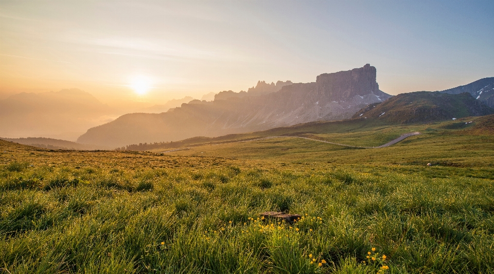 Landscape nature grass horizon