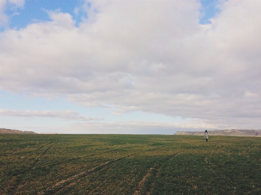 Landscape sea nature grass Photo