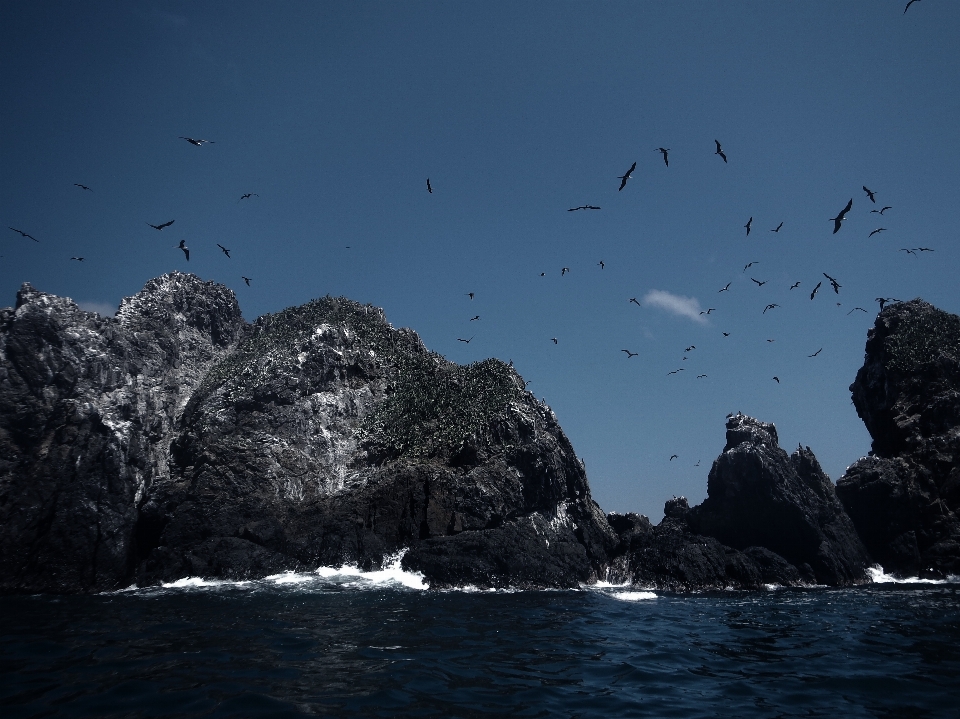 Meer küste wasser natur