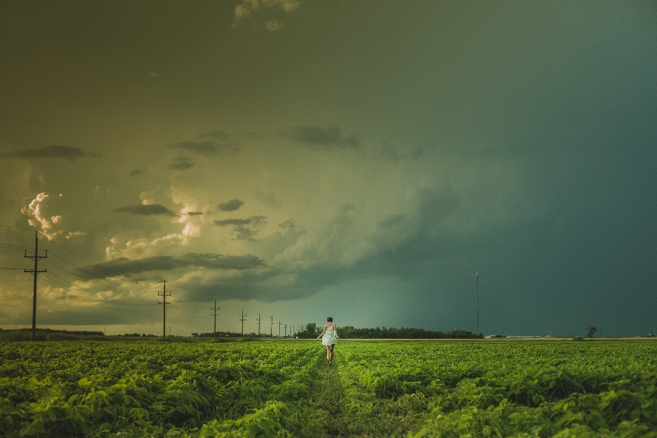 Natur gehen wolke himmel