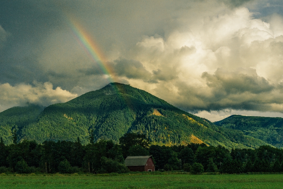 Krajobraz drzewo natura góra